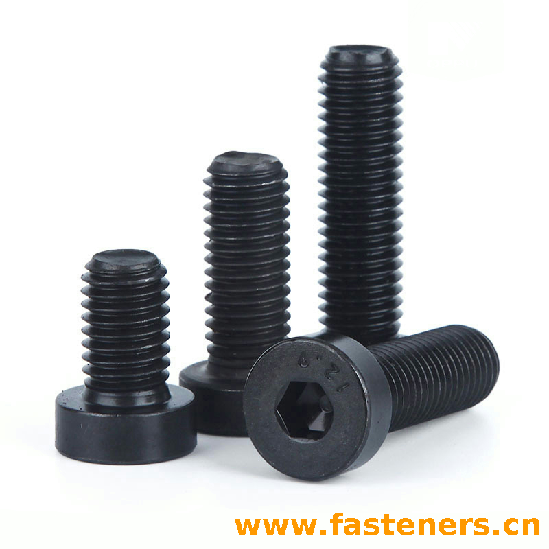 CNS4556 Hexagon Socket Head Cap Screws