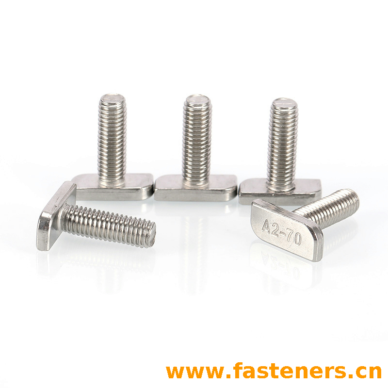 SS304 Stainless Steel T Bolt