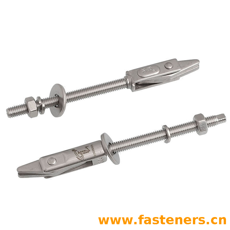 Type Shear Expansion Fixe Anchor Bolt Stainless Steel