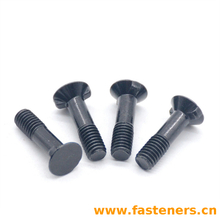 CNS4697 Countersunk Bolts With Double Nips